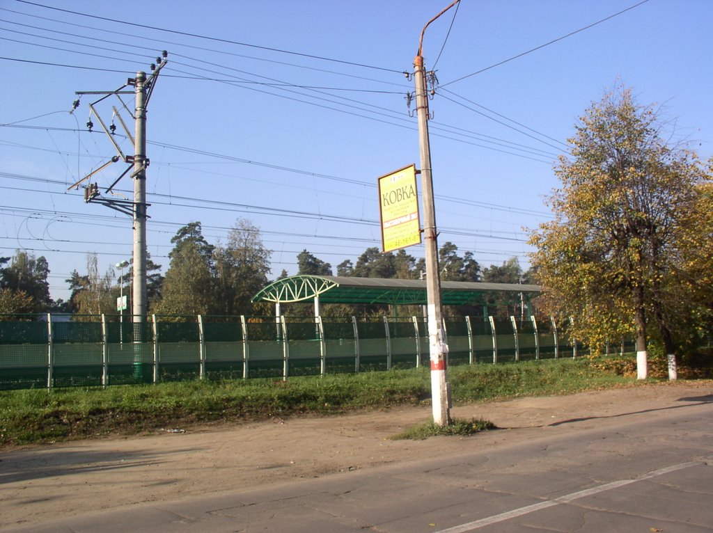 Московская ул. Станция / St. Moscow. Station