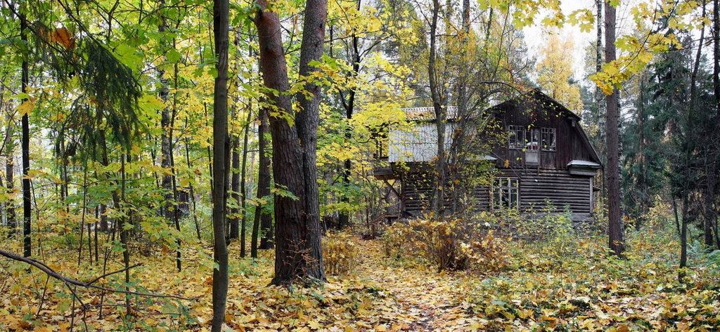Countryside house. Golden autumn