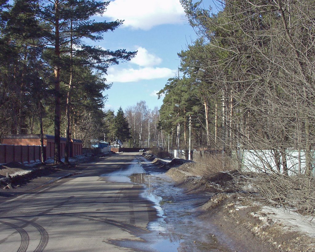 ул. Ухтомского в пос. Ильинское (март 2003 г.)