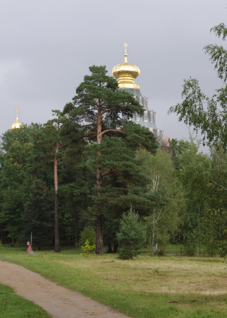 Истра. Воскресенский собор.