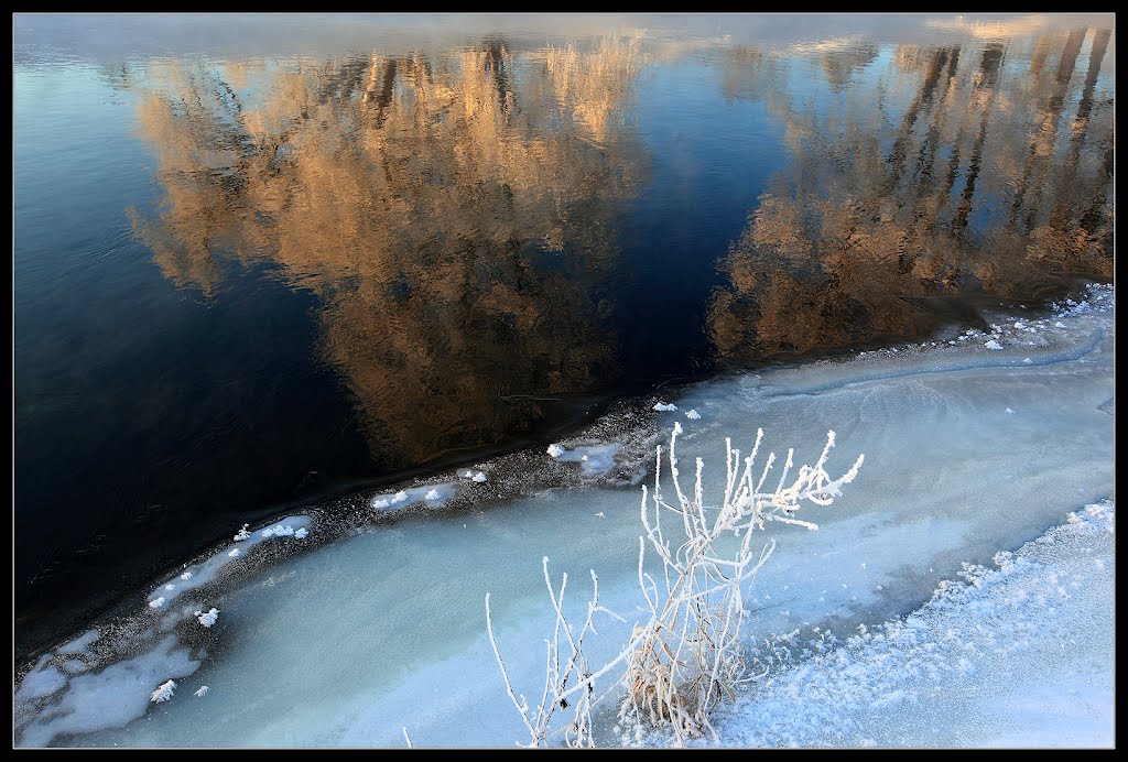 Frosty morninig