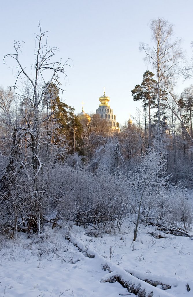 Wood around the monastery / New Jerusalem, Russia