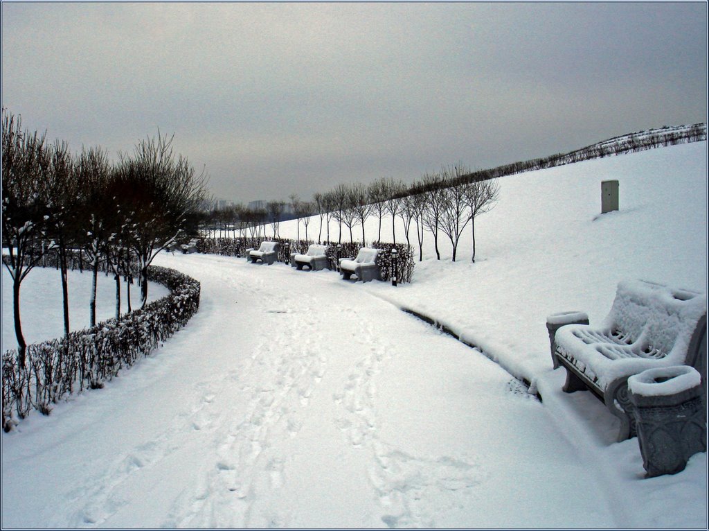 Зимняя послеобеденная прогулка / Winter walk after lunch