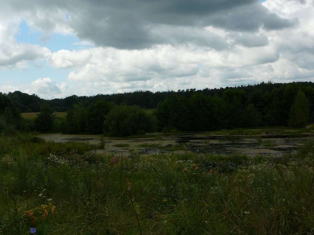 Zhilëvo