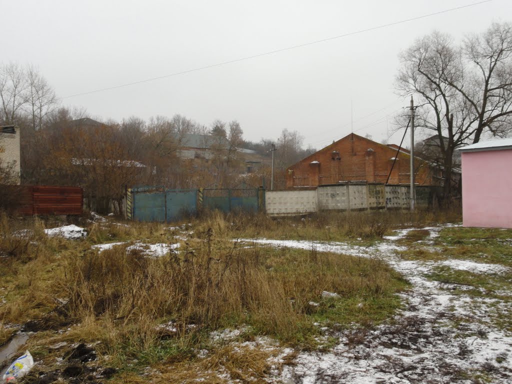 Кашира
