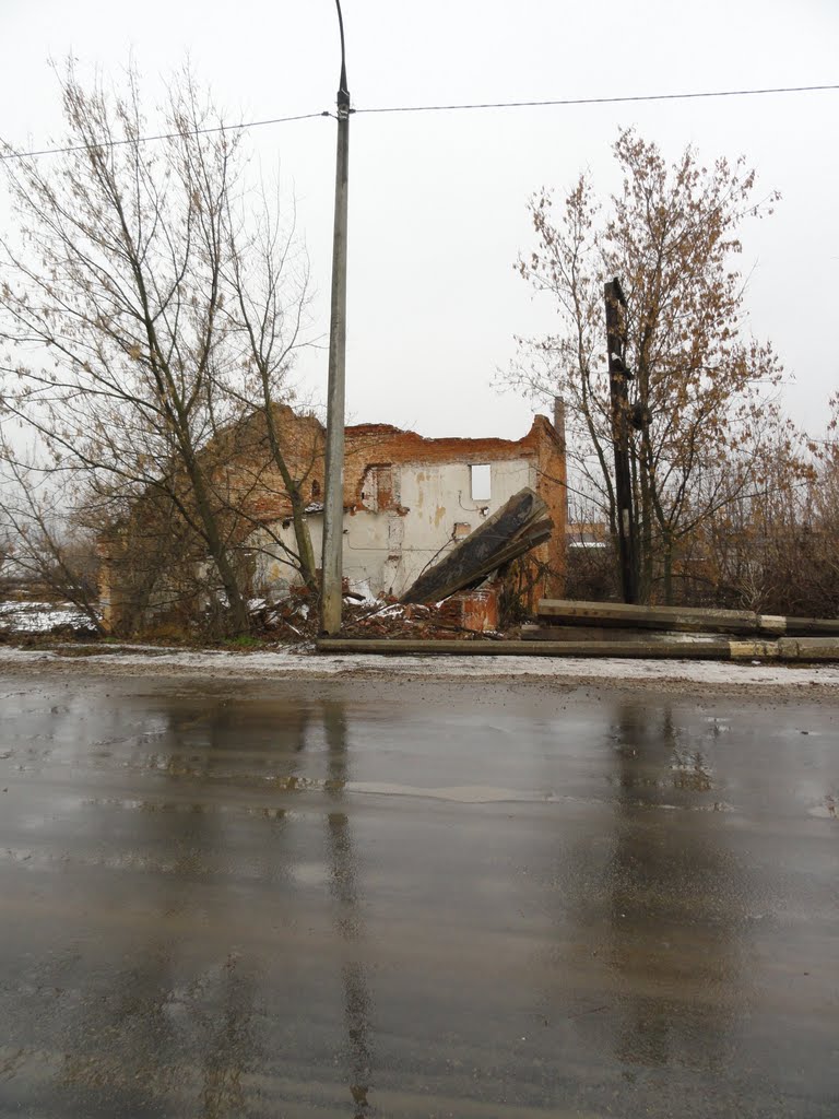 Кашира
