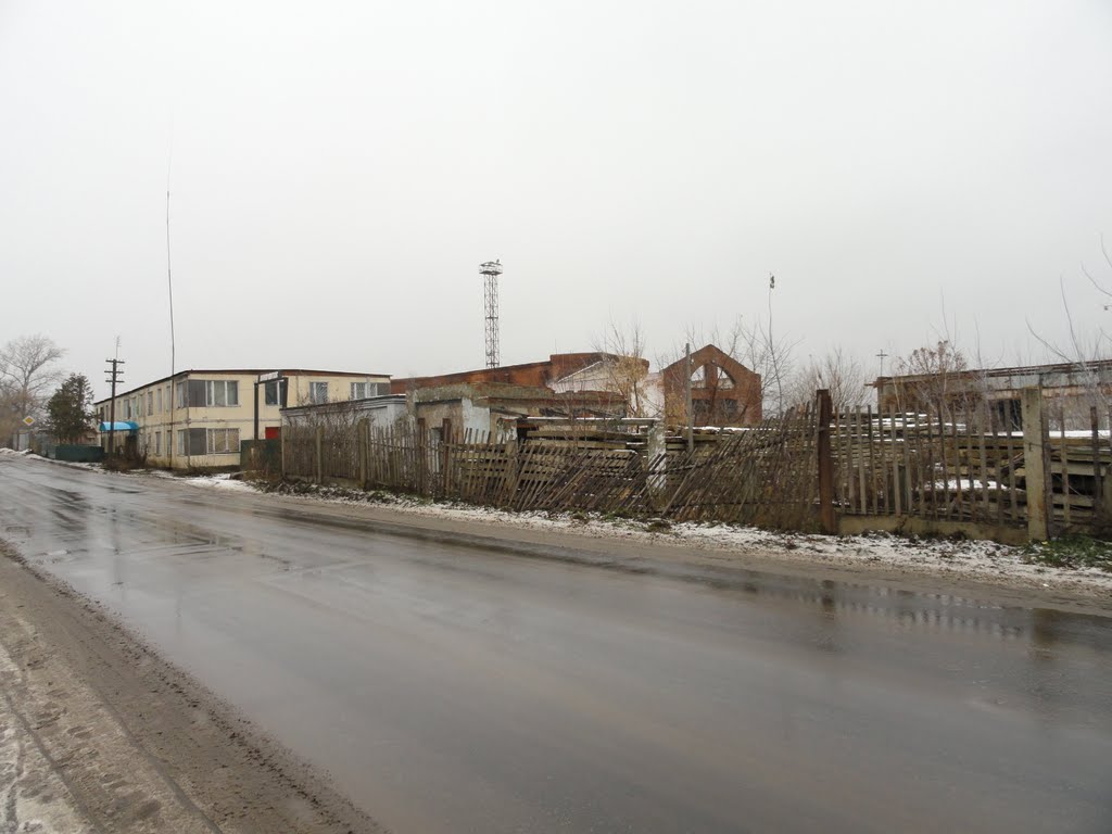 Кашира