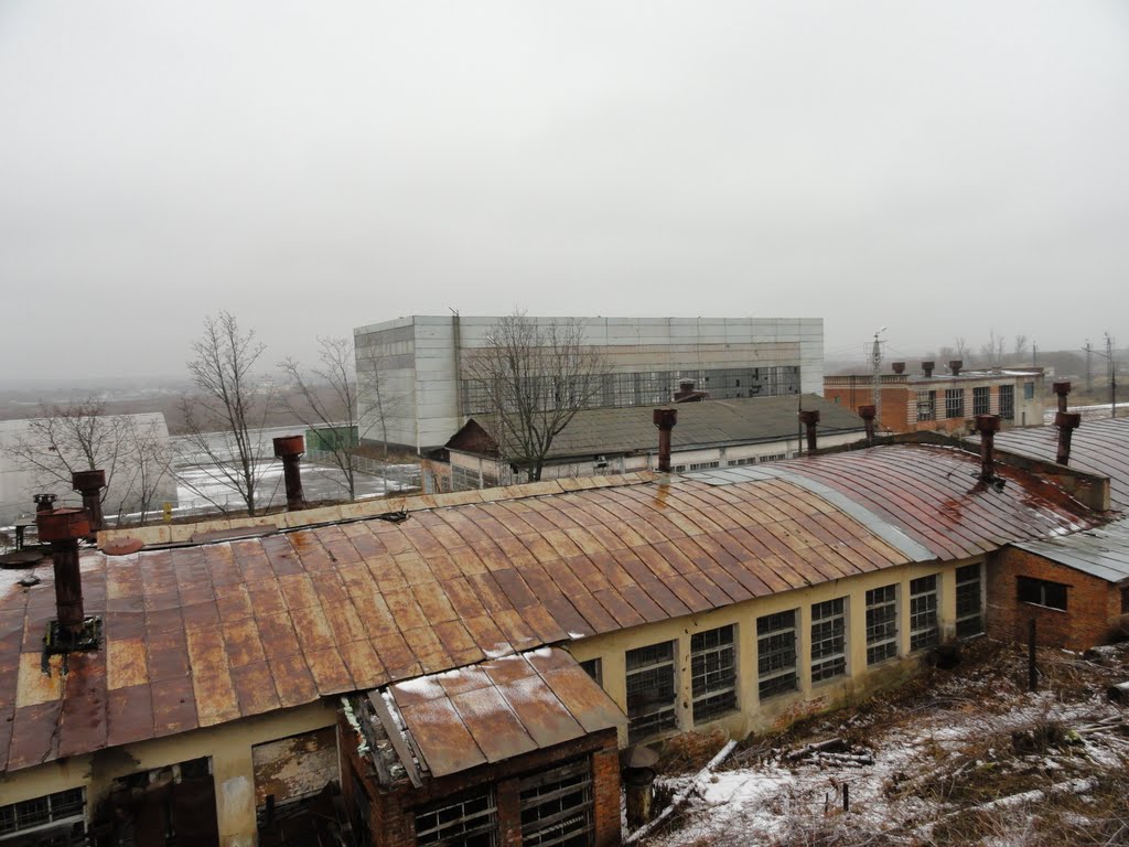 Кашира