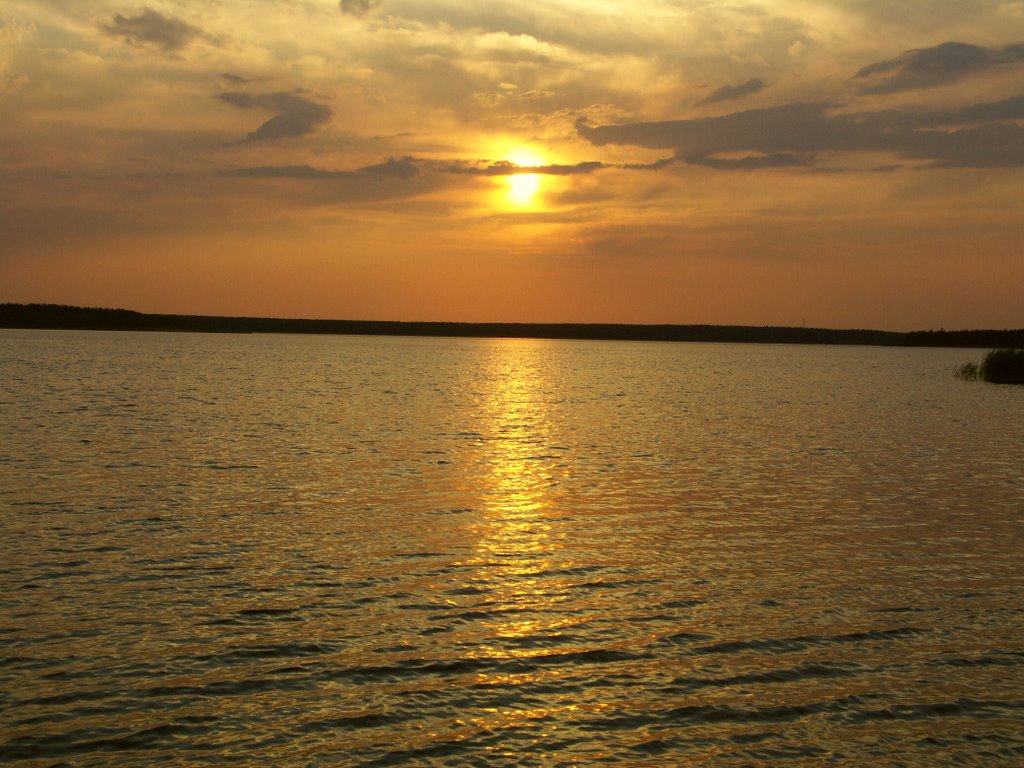 Шатура