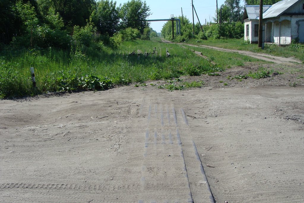 Керва