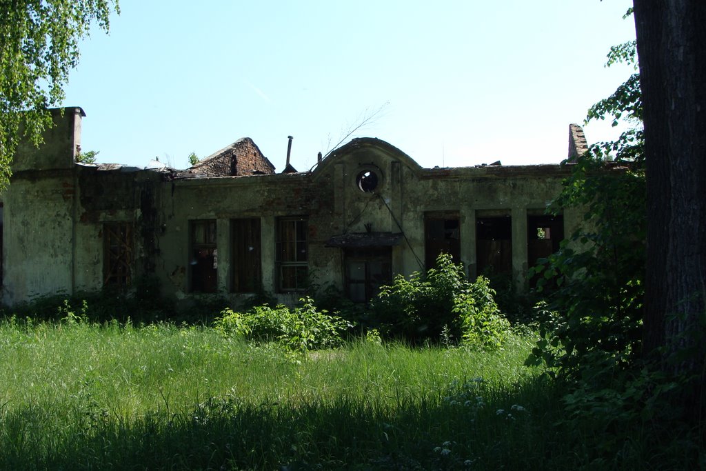 Керва