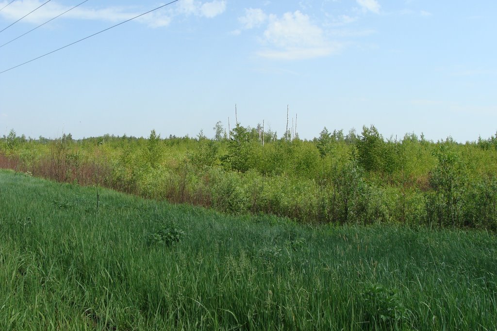 Шатурский район, Московская область