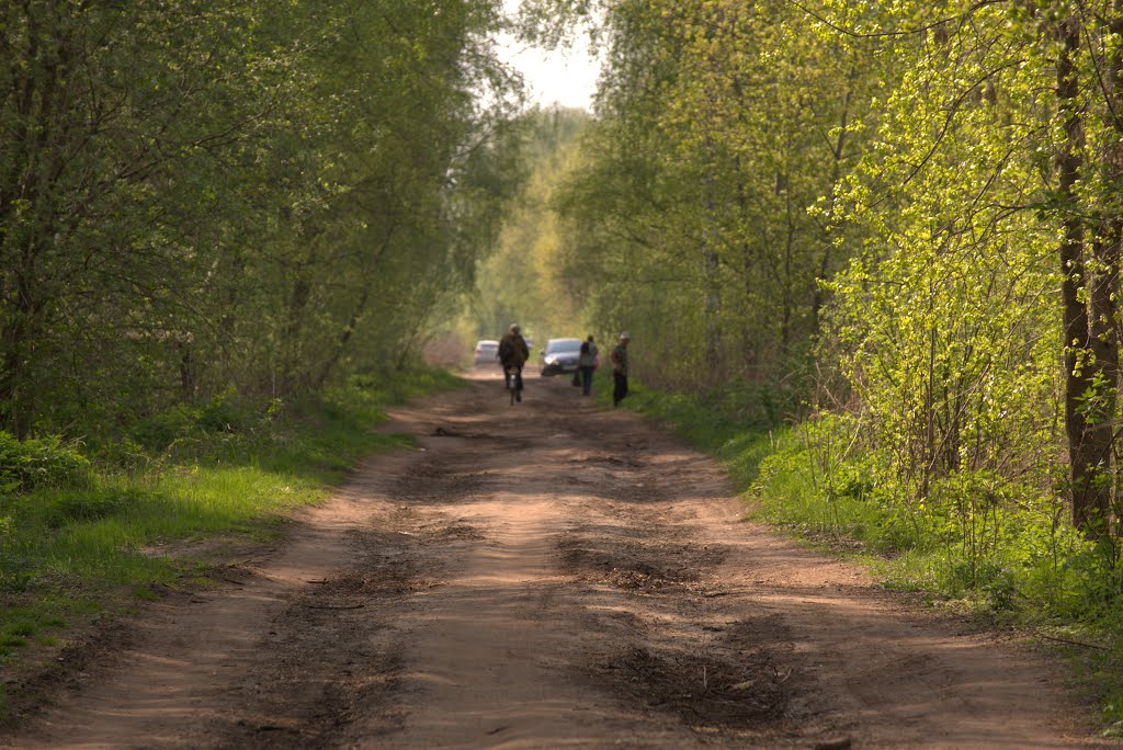 Дачная дорога