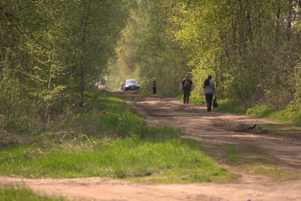 Дачники на дороге