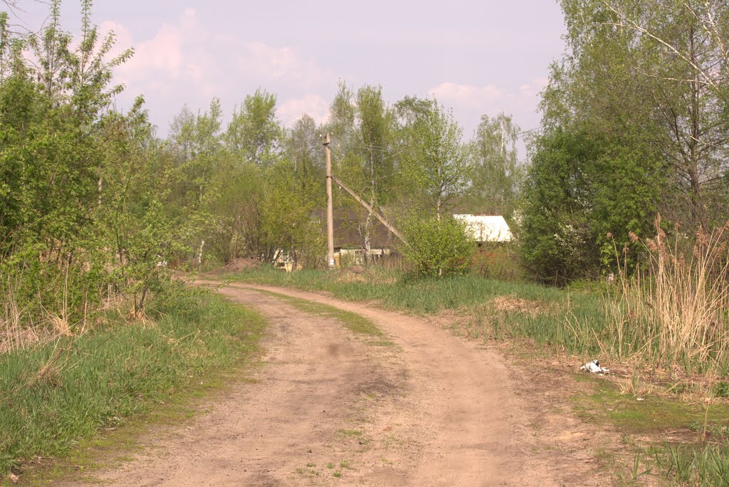 Дачная дорога