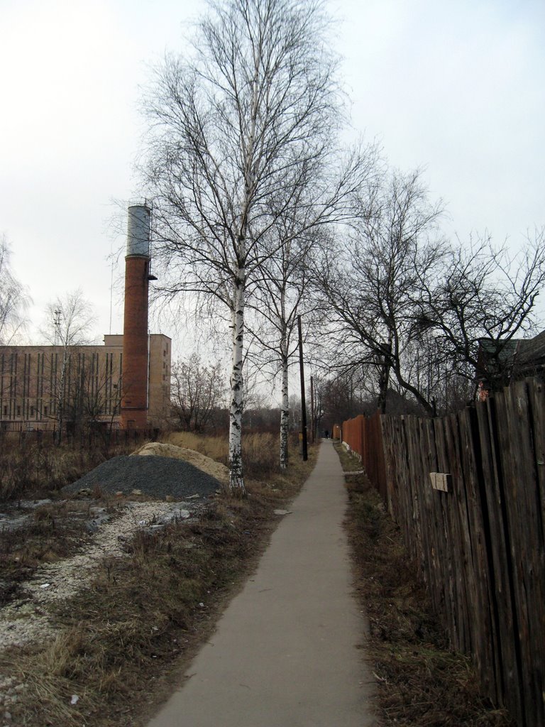Дорога к ст. Гривно