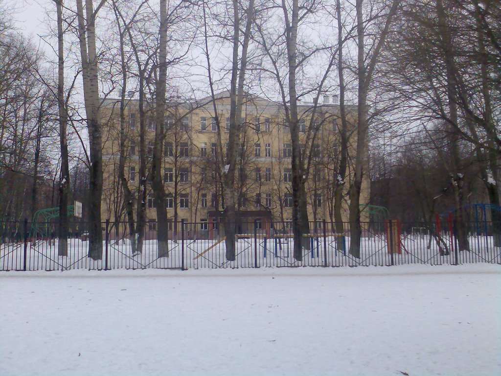 Родная школа №5