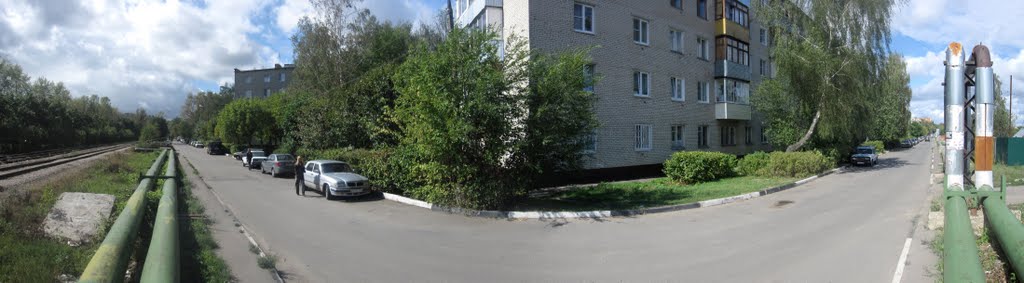 Южная оконечность ул. Мичурина