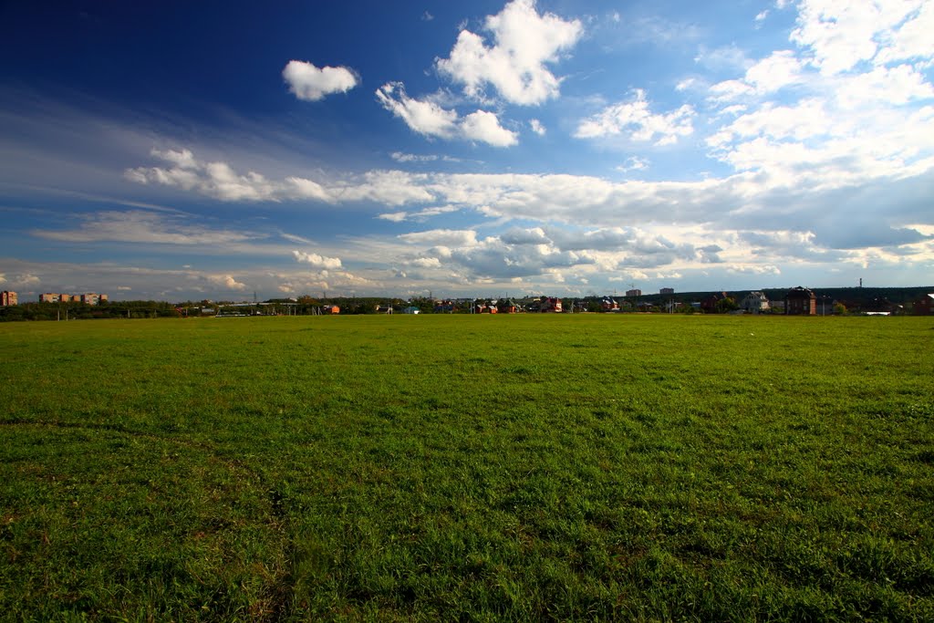 поле ( лето 2010г)