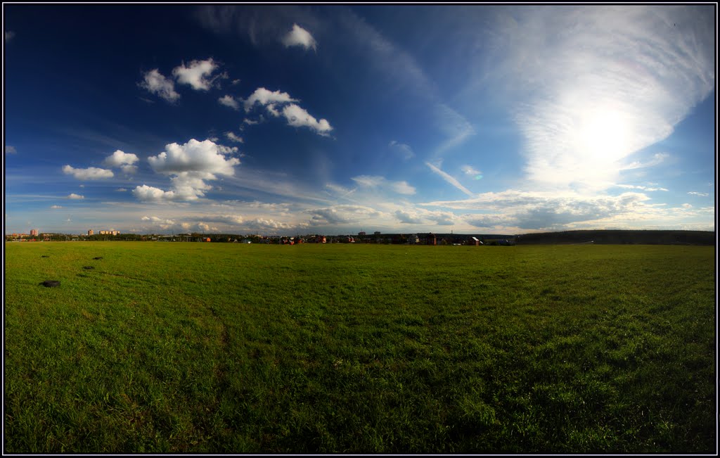 Поле 2010г лето