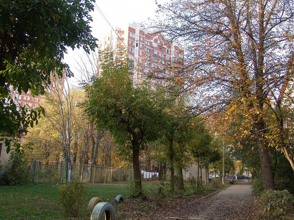 Климовск. Ул. Мичурина