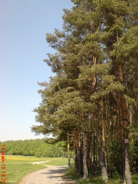 ::Климовск, Весенняя::