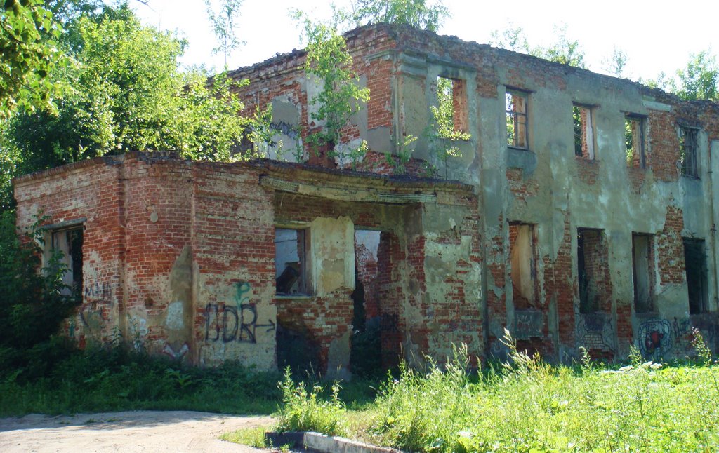 Усадьба и парк "Демьяново" в клину. Центральная усадьба