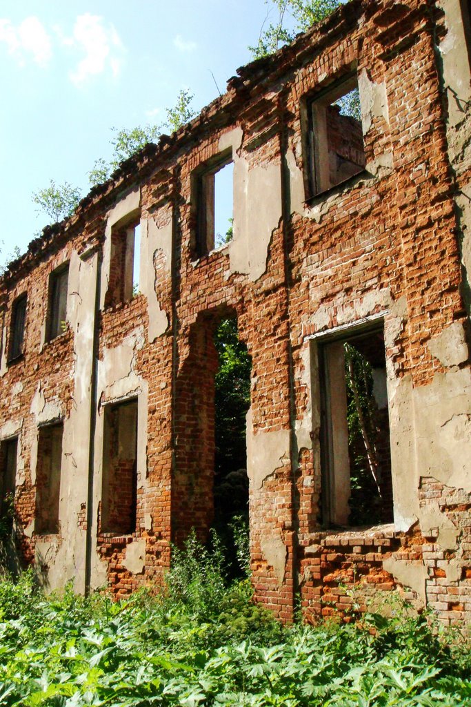 Усадьба и парк "Демьяново" в клину. Центральная усадьба