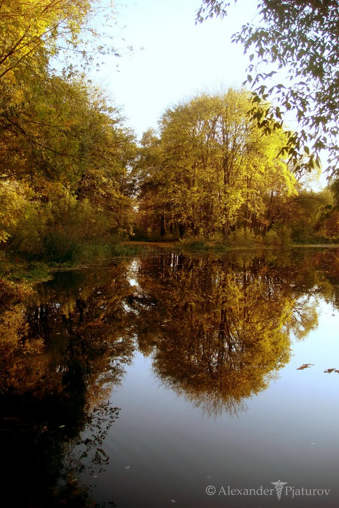Осень/Autumn