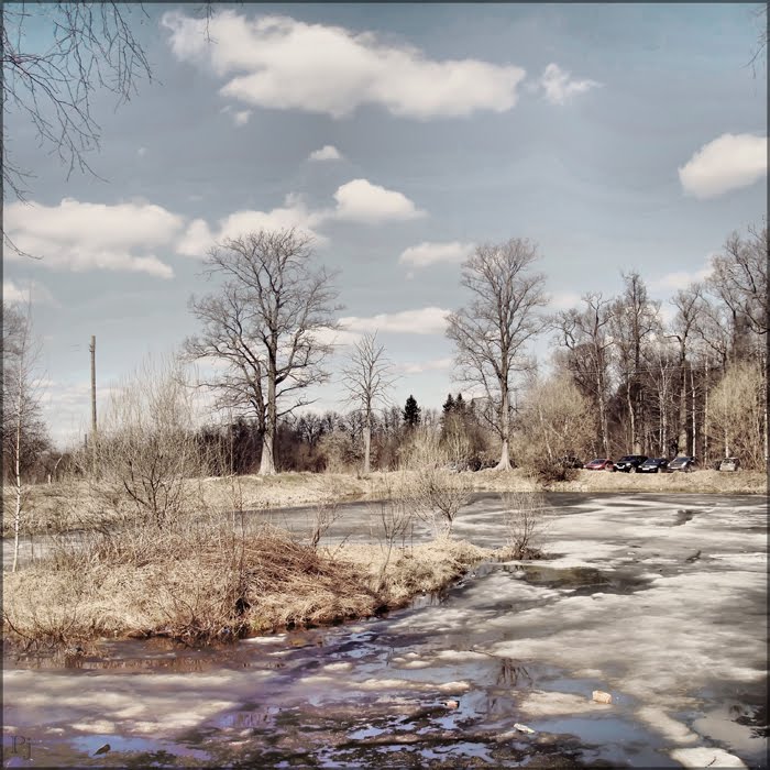 Весна пришла / Spring has come