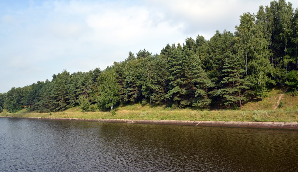 Mytishchinsky District, Moskovskaya oblast,  Russia.