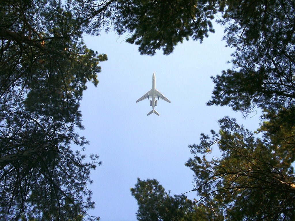 Новосельцево. Самолет