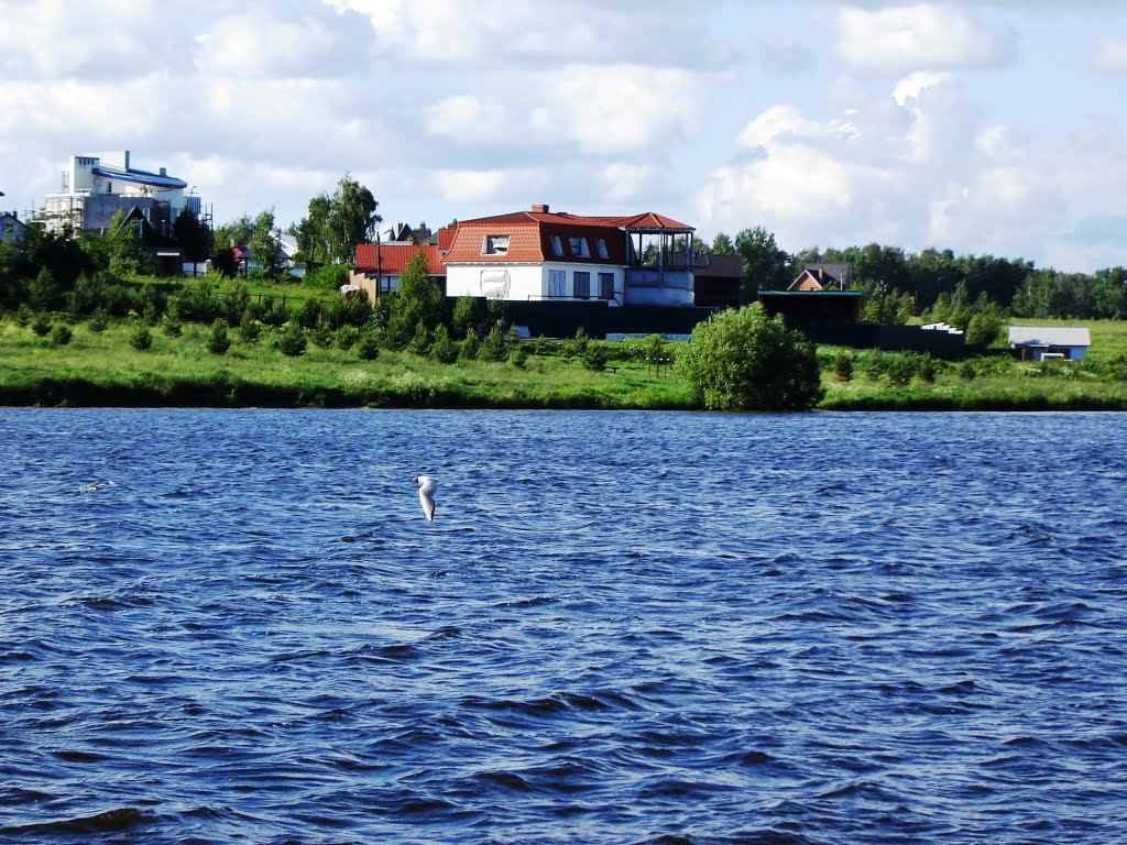 Чайка. Пироговское водохранилище. Санаторий "Дубрава"