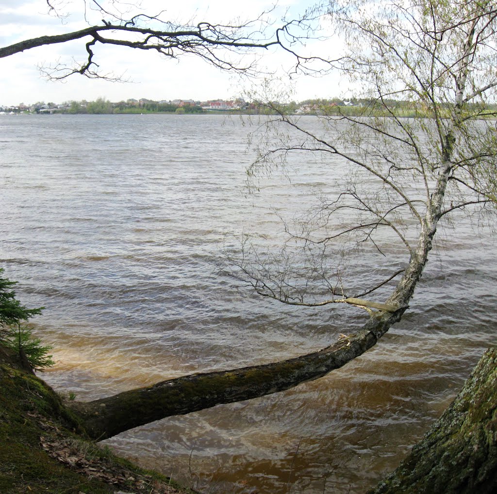 Пироговское водохранилище