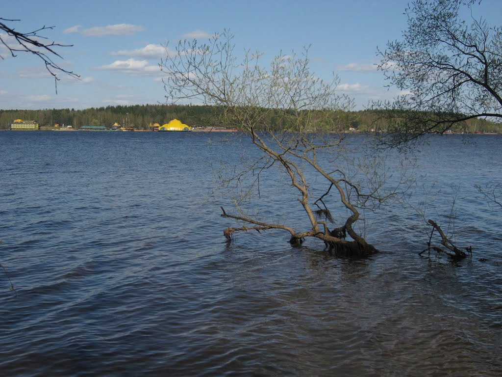 Пироговское водохранилище