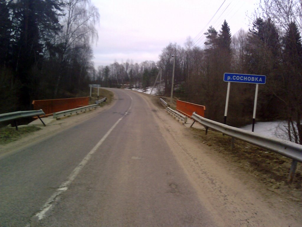р. Сосновка (под Кожино)