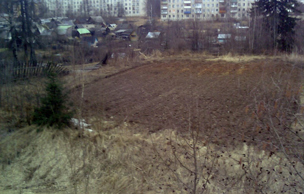 Кожино 6 (под Кожино)