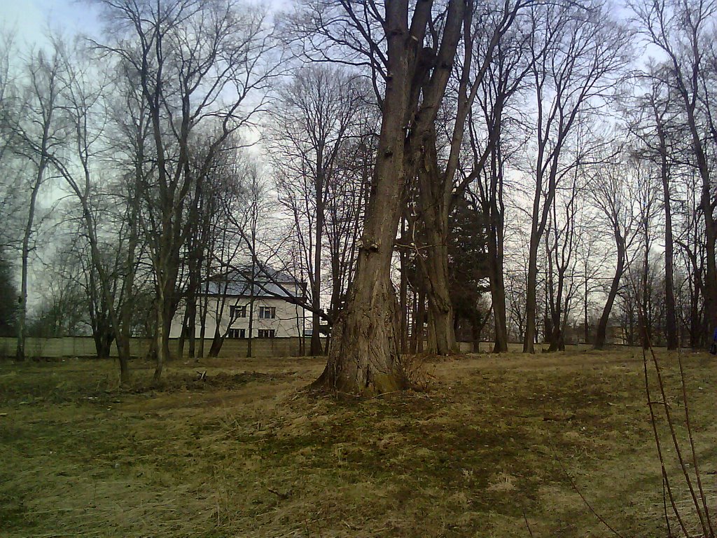Кожино 7 (под Кожино)