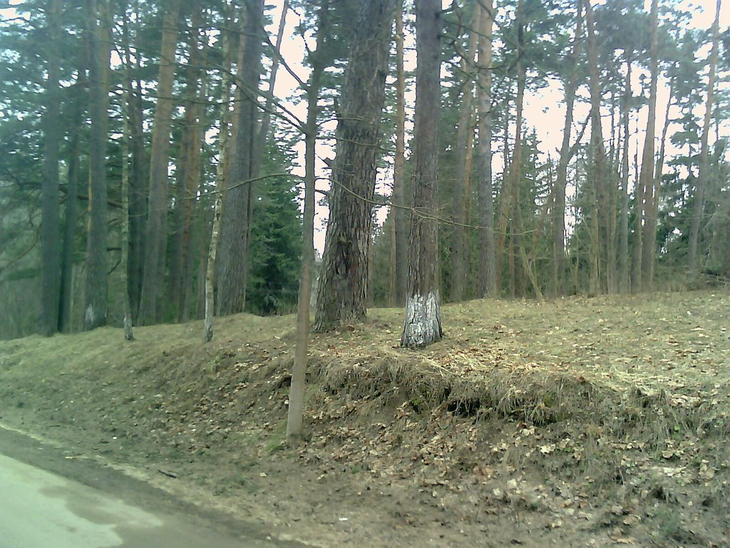 Санаторий 58