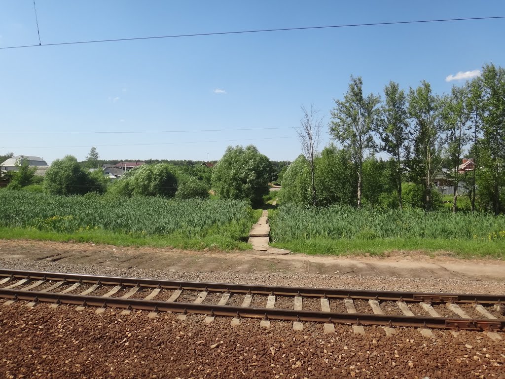 Станция Толстопальцево