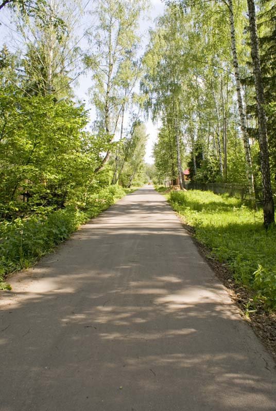 1-я Центральная ул