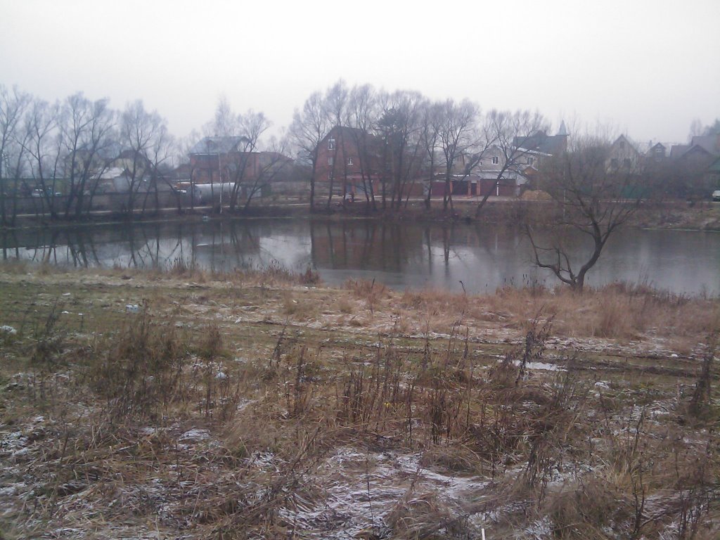 Кокошкинские пруды, декабрь 2008
