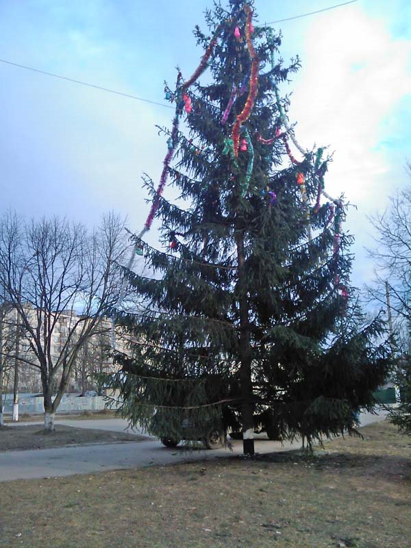 Йолко