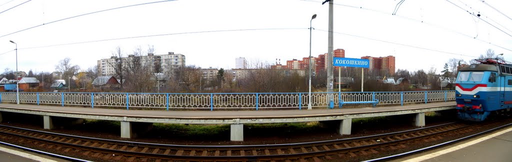 Кокошкино(07.11.08)