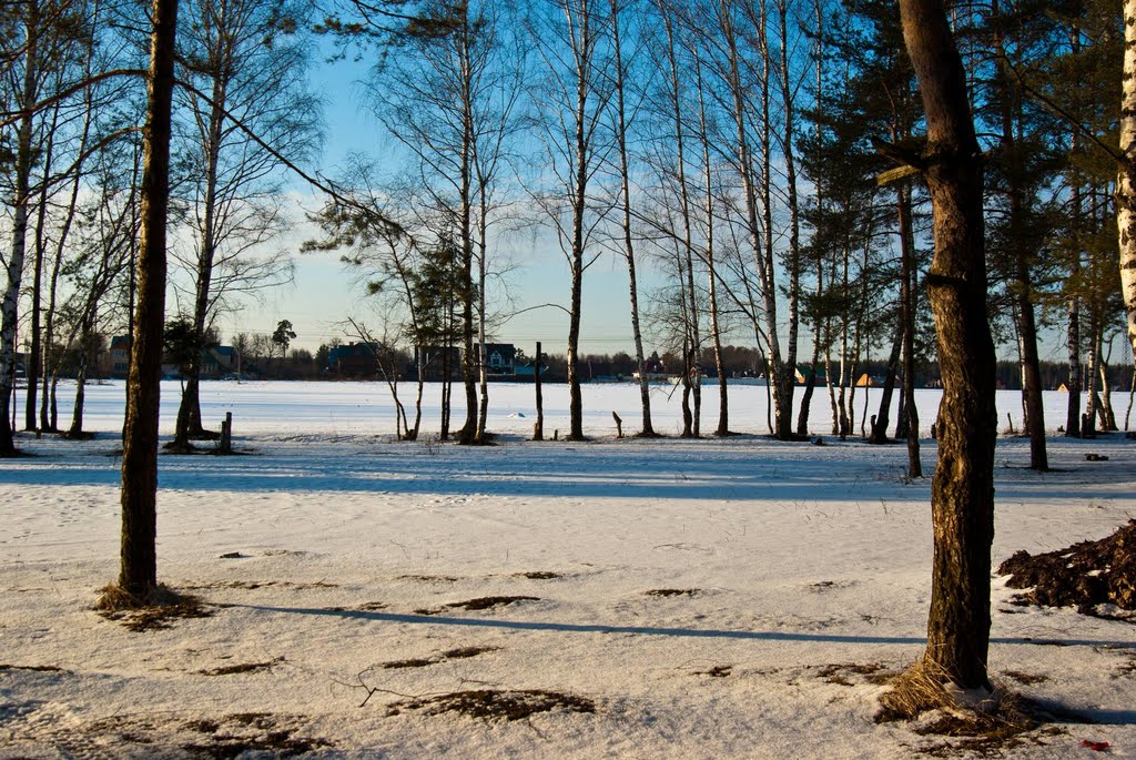 Зайцево