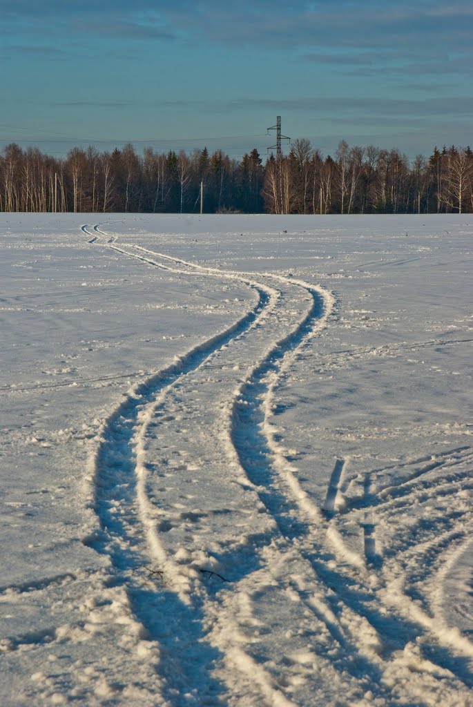 Поле у Зайцево