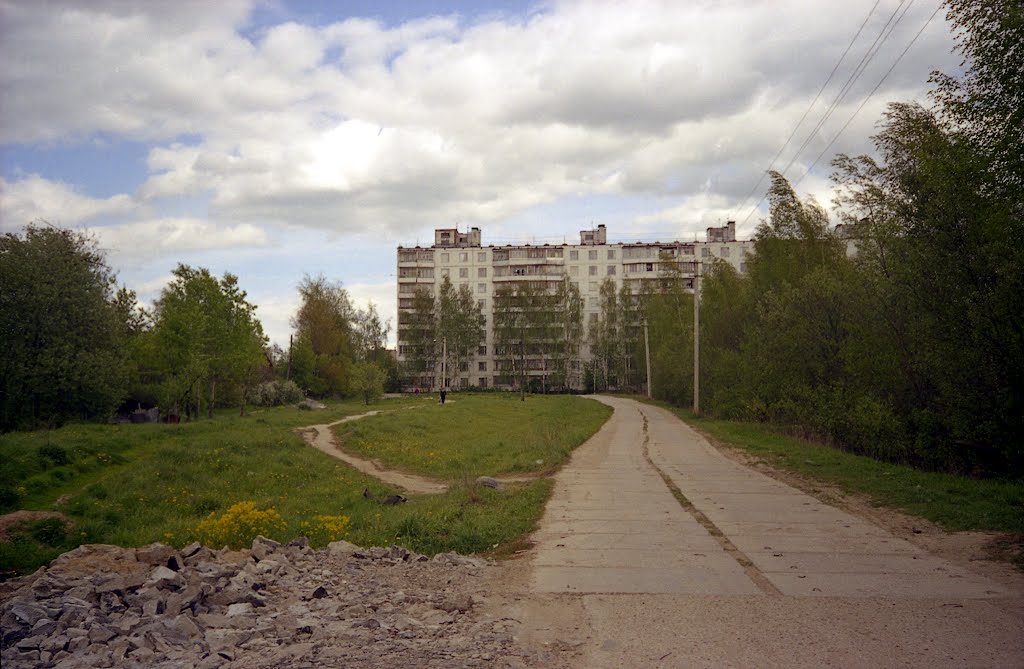 Дорога через поле
