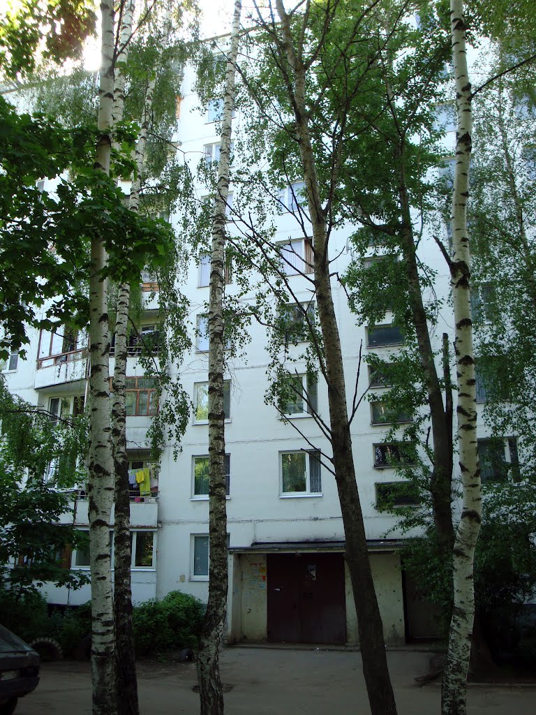 подъезд 4 дома 3.