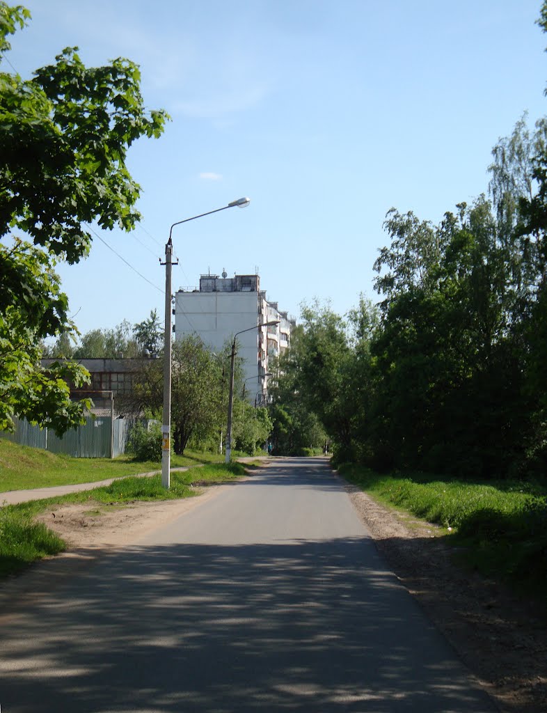 улица у леса и дом 3.