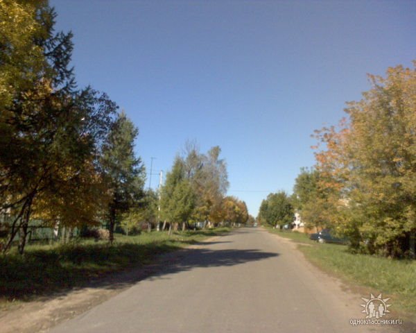 дорога из Сосновой рощи